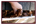 Gutter Cleaning